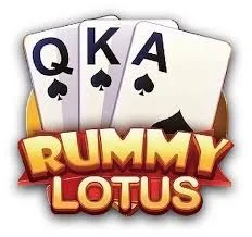 Rummy 51 Bonus All