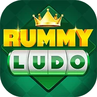 Rummy 51 Bonus App